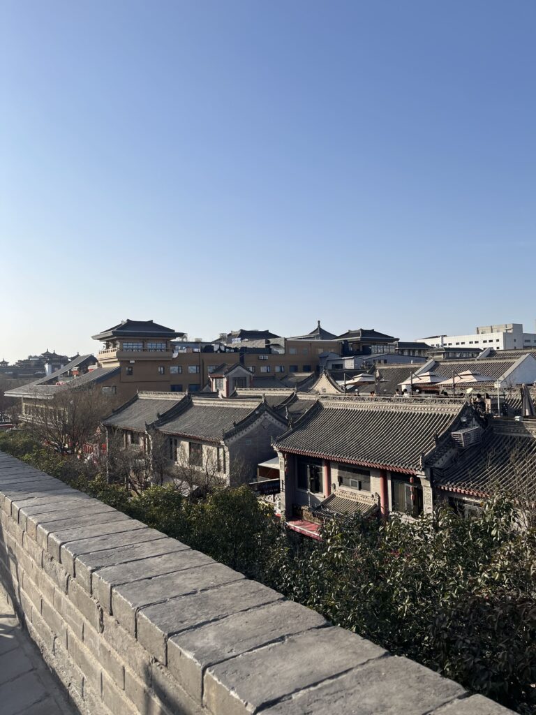 xian 6
